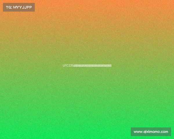 UFC235格斗盛典乔恩琼斯卫冕轻重量级王座乌斯曼夺次中量级冠军