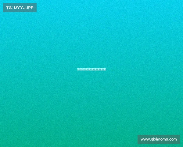 自由搏击赛事等级体系深度解析与实战应用